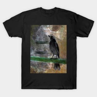 Pete, The Pied Currawong T-Shirt